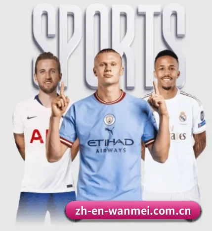 完美体育企业门户五大硬核板块,构建全景式体育生态